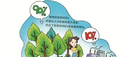 环保科普|为什么要关注植物排放的VOCs？